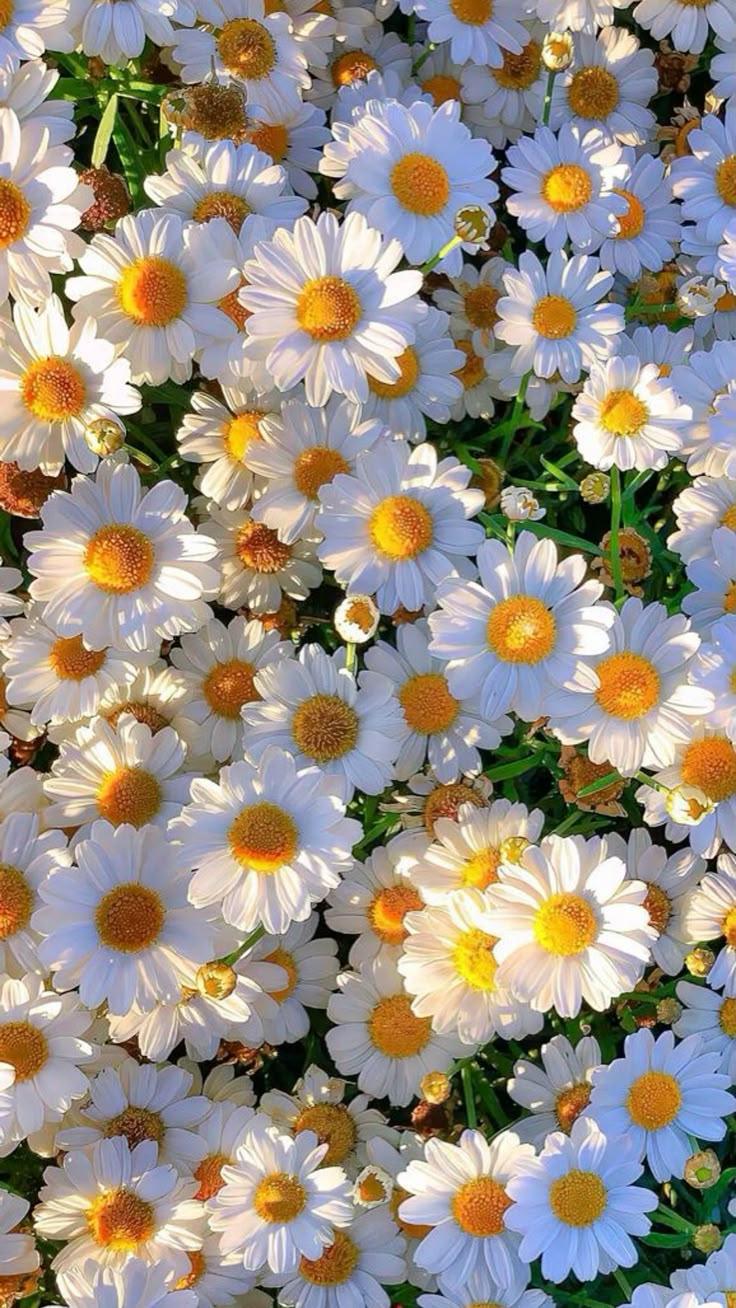 Professional floral arrangement in modern corporate setting